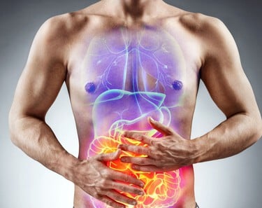 Durée de la digestion : Infos et Conseils Durée de la digestion : Infos et Conseils