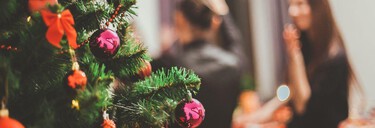 Menu de Noël : simple et délicieux Menu de Noël : simple et délicieux