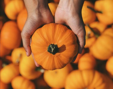 Les micronutriments ces alliés pour l'automne