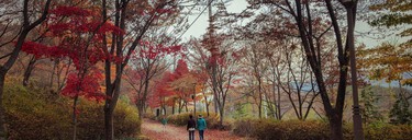 5 bonnes habitudes pour affronter l’automne 5 bonnes habitudes pour affronter l’automne
