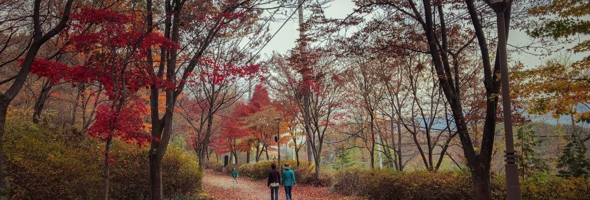 5 bonnes habitudes pour affronter l’automne 5 bonnes habitudes pour affronter l’automne