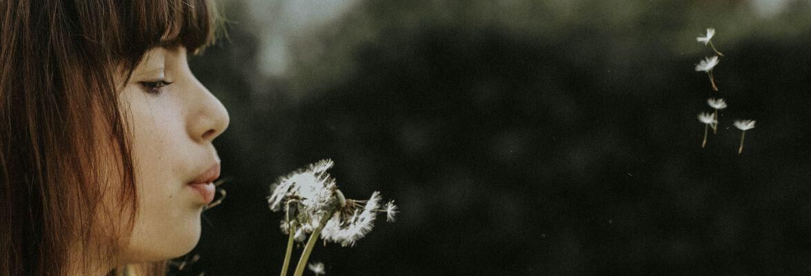 La vie intérieure : qu’est-ce que le SII ? La vie intérieure : qu’est-ce que le SII ?